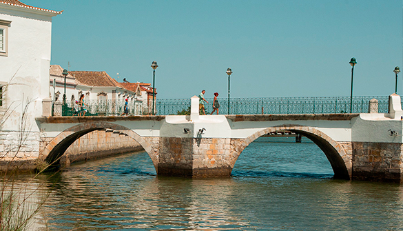 horta-do-roxo-imagem3-tavira